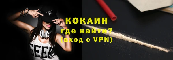 мет Алексин