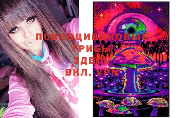 бутират Алексеевка
