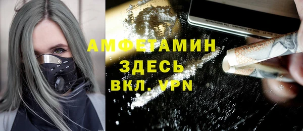 мет Алексин