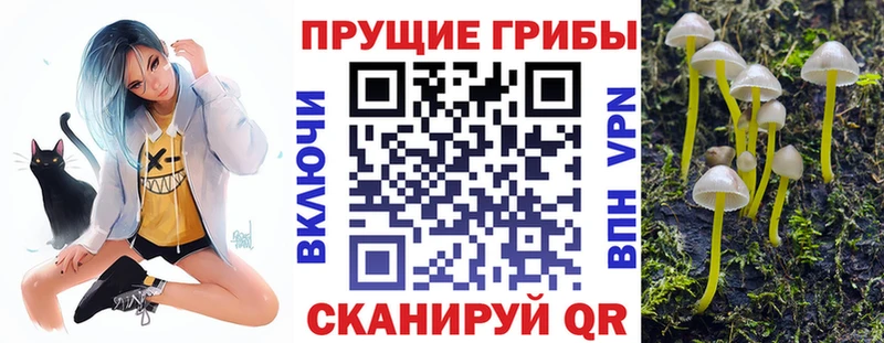 Псилоцибиновые грибы мицелий  OMG маркетплейс  Цивильск 